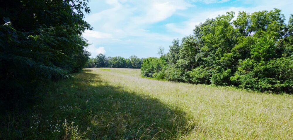 Hartman  Real  Estate …